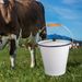 9L Enamel Milk Bucket Ice Bucket With Lid And Handle Rice Container Liquid Container Storage Can For Farm Garden Yard_voghion.com