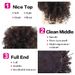 Schwaarz Kuerz Kinky Gekräizt Chignon Mat Pony Syntheteschen Hoer Bun Schnürpferdeschwanz Clip In Afro Puff Hoerstécker Fir Fraen_voghion.com