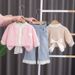 Baby Mädchen Trendy Frühling Outfit 2025 Frühling Und Herbst Neue Stil Für Kleine Mädchen, Mesh Bogen Strickjacke Jacke, Mädchen_voghion.com