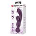 Eros Lab Baile 10 Frequency Powerful Vibration Dual-Head Silicone Massager Magnetic Charging Female Device Patila 55022_voghion.com