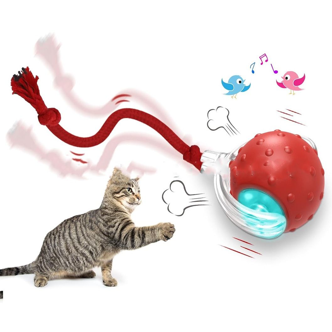Jouet interactif intelligent pour chat – Balle mobile automatique avec queue en plumes et sons de gazouillis d'oiseaux – Jouet d'exercice stimulant pour chats d'intérieur_voghion.com