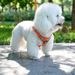 Harness Walking Rope Pet Supplies Chain Vest-Style Dog Leash_voghion.com