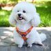 Harness Walking Rope Pet Supplies Chain Vest-Style Dog Leash_voghion.com