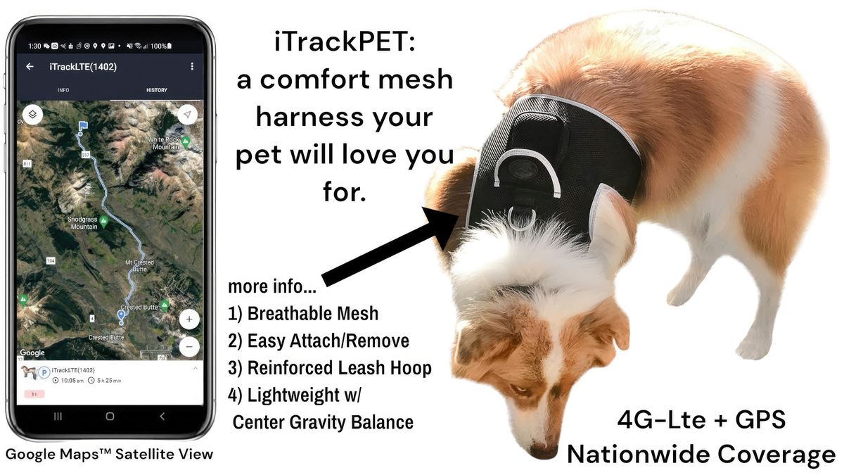 GPS GSM Pet Tracking Device Collar Attachment Waterproof Mini Tracker Size:M_voghion.com