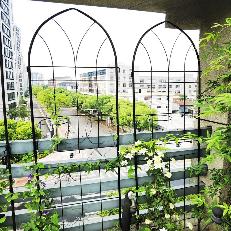 2 Pack Metal Garden Trellis 78.7" X 19.7" Rustproof Trellis For Climbing Plants Outdoor Flower Support Black_voghion.com