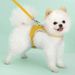 Vest-Style Dog Leash For Teddy, Bichon, Small And Medium Dogs, Cat Harness, Pet Supplies_voghion.com