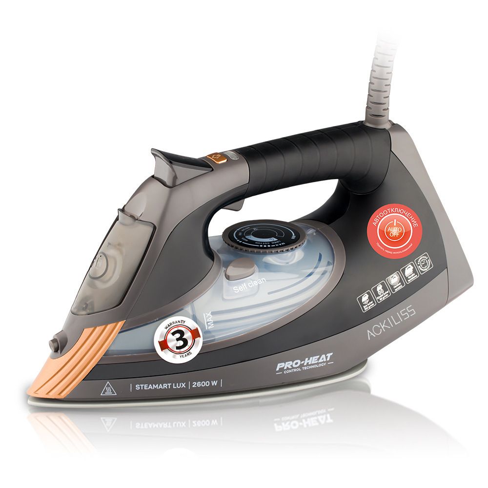 Kompaktes automatisches Dampfbügeleisen, elektrische Handbügelmaschine für den Haushalt mit schneller Aufheizung, für den Heim- und Reisegebrauch_voghion.com