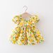 Mother & Kids Baby Girls Short Sleeved Flower Dress_voghion.com