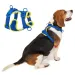 Harness Small, Medium, And Large Without Pulling, Puppy Small Dogs, Mesh Harness For Dogs By PawParty Store_voghion.com