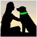 COOYOMOO LED Collar For Dogs And Cats_voghion.com