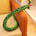 Large Plush Snake Realistic Toy For Kids Soft And Cuddly 120cm Pp Cotton Animal Stuffed_voghion.com