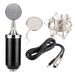 BM8000 Vintage Classic Karaoke Microphone Studio Condenser Mikrofon Mic With Pop Filter Radio Braodcasting Singing_voghion.com