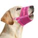 New Product Dog Soft Breathable Mesh Suitable For Small Medium Large Dogs Adjustable Muzzle_voghion.com
