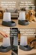 Automatischer Futter- Und Wasserspender Für Hunde Und Katze - 2,5L - Futterautomat Katze - Futterspender Katze - Wasserspender Katzen Hunde - Flamin_voghion.com