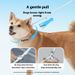 Fantasy Gradual Change Dizzy Dye P Medium And Large Corgi Going Out Towing Rope Does Not Control Escape Pet Dog Supplies_voghion.com