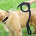Guinzaglio intrecciato in nylon a otto fili, collare regolabile per cani di taglia media e grande, catena per cani da compagnia, resistente all'usura e durevole_voghion.com