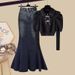 Damenbekleidung Herbst Royal Sister Style Outfit Einzigartiges Temperament Langarm Top Denim Fischschwanzrock Zweiteiliges Set_voghion.com