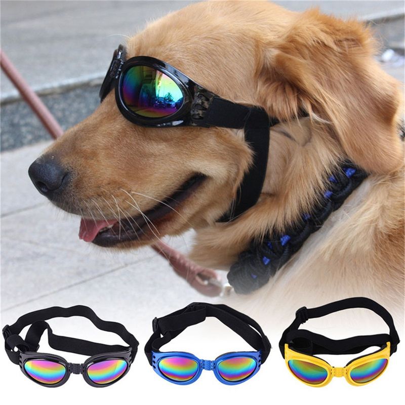 Pet Glasses Foldable Dustproof Sunglasses Dog Accessories_voghion.com