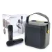 S882 Karaoke Hine mit Dual-Mikrofonen ändern Sprachfunktionen Tragbarer Lautsprecher Subwoofer TF-Karte U-Disk-Player für_voghion.com