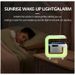 G3 Multitasker Smart Speaker Desk Lamp - Alarm Clock & 13 Ambient Lights With Wireless Charging
_voghion.com