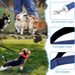 Nylon Dog Leash 4-100 Feet By PawParty Store_voghion.com
