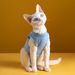 1 Piece Of Pet Cat Spay Recovery Suit, Anti-licking And Anti-biting, Suitable For Weaning, Soft, Skin-friendly And Comfortable Spay Suit_voghion.com