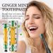 KORMESIC Ginger Mint Toothpaste Oral Cleaning Care Toothpaste 100g_voghion.com