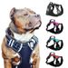 CDDMPET Dog Harness, Nylon, Adjustable, Reflective By PawParty Store_voghion.com