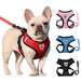 Summer Cat Dog Harness Lead Leash Adjustable Vest Polyester Mesh Breathable Harnesses Reflective For Small Dog Cat Lesah_voghion.com
