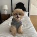 INS Korean Warm Pet Clothes Cape Shawl For Small Medium Dogs And Cats Teddy Autumn Winter Thickened_voghion.com