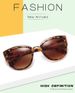 Women's Retro Cat-eye Sunglasses Personality Ins Style Plastic Frame Glasses Leopard Color_voghion.com