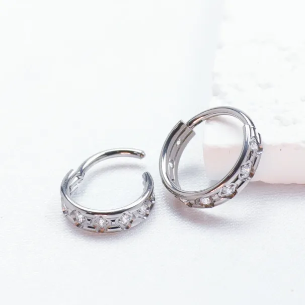 F136 Titan-Piercing Clicker Helix Nasenring Knorpel Tragus Zirkon Septum 16G Ohrringe Scharniersegment Körperschmuck für Frauen_voghion.com