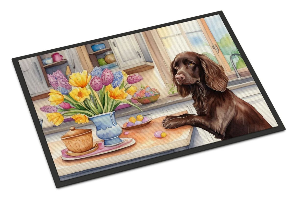 Decorating Easter Boykin Spaniel Doormat Front Door Mat Indoor Outdoor Rugs For Entryway, Non Slip Washable Low Pile, 24H X 36W_voghion.com