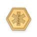 14k Non-enameled Attachable Medical Emblem Charm_voghion.com