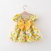 Mother & Kids Baby Girls Short Sleeved Flower Dress_voghion.com