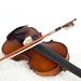 Greena 002A Performance Solid Wood Violin Suitable For Beginners_voghion.com