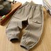 Boys' Fleece-Lined Pants For Winter & Fall - Soft Windproof Joggers With Elastic Waistband, Comfortable & Warm Casual Pants For Big Kids_voghion.com