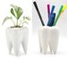 Tooth Shaped Planter 10cm - Cute Cactus Flower Pot Novelty Succulent Container With Drain Hole White_voghion.com