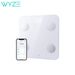 Wyze S, Weight,Digital Bathroom Scale For Fat,Muscle, Heart Rate, Body Composition Analyzer With App, Batteries_voghion.com