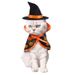 Halloween Costume Magic Cloak Cat Dog Pet Transformation Clothes_voghion.com