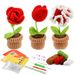 Handgemachter Wollstrauß, Tulpen, Sonnenblumen, Gänseblümchen, Kaktuspflanze, kleine Topfornamente, Häkelmaterialpaket_voghion.com