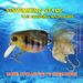 Submerged Goldfish Lure Bionic Bait Fishing Accessories_voghion.com