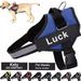 Explosion-Proof Pet Harness Large Dog Leash Vest-Style Reflective Chest Strap_voghion.com