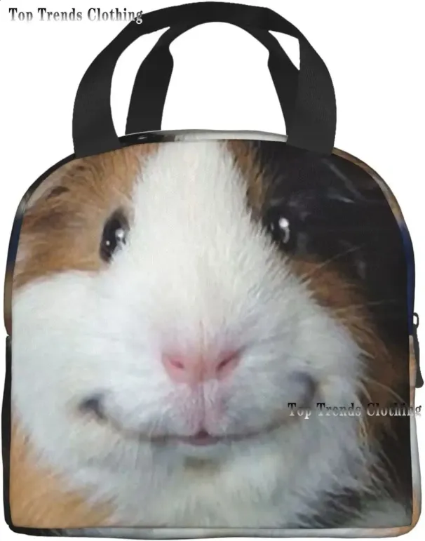 Porcellino d'India con popcorn, borsa termica impermeabile riutilizzabile per il pranzo, tasca frontale, utilizzata per picnic in spiaggia 250318l_voghion.com