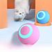 Interactive Automatic Cat Teasing Toy Ball_voghion.com