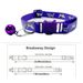 Buitenlandse handel Lichtgevende halsband Bel Kat Kitten Halsband Hondenhalsband Grensoverschrijdende huisdierbenodigdheden_voghion.com
