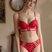 Kleine borstverzameling Sexy lusgespband Holle kant bh Primordial Year Rood ondergoedset_voghion.com
