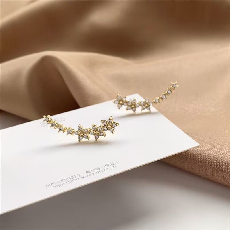 Orecchini in lega di alta qualità con piccoli ganci per le orecchie a forma di fiore, stile coreano, con zirconi a forma di stella, design di nicchia_voghion.com