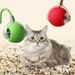 Pet Toy Cat Puppy Boredom Relief Automatic Rolling Electric Smart Walking Teaser Dog Artifact_voghion.com