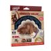 No CD Disc Perfect Command Large Collar Dog Leash_voghion.com